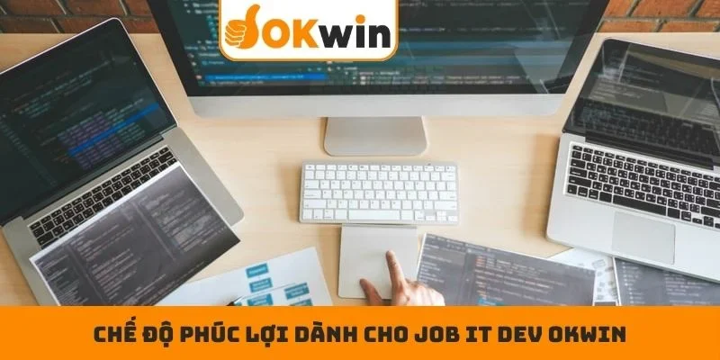 Chế độ phúc lợi dành cho Job IT Dev OKWIN